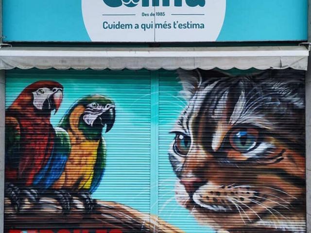 Graffiti de gato y loros realistas pintados en persiana de comercio con fondo azul turquesa
