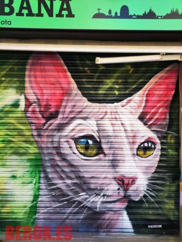 Mural graffiti gato Sphynx realista en persiana Graffiti gato esfinge sphynx sin pelo ojos amarillos en persiana metálica