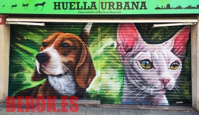 Mural graffiti beagle y sphynx en Huella Urbana Graffiti perro beagle y gato sphynx en persiana Huella Urbana tienda mascotas