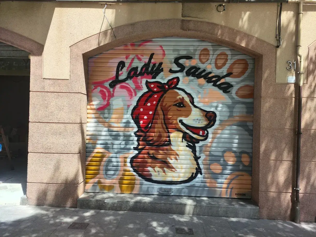 Graffiti mural en Manresa, Bages de Lady Sauda, arte urbano pintado en persiana metálica.