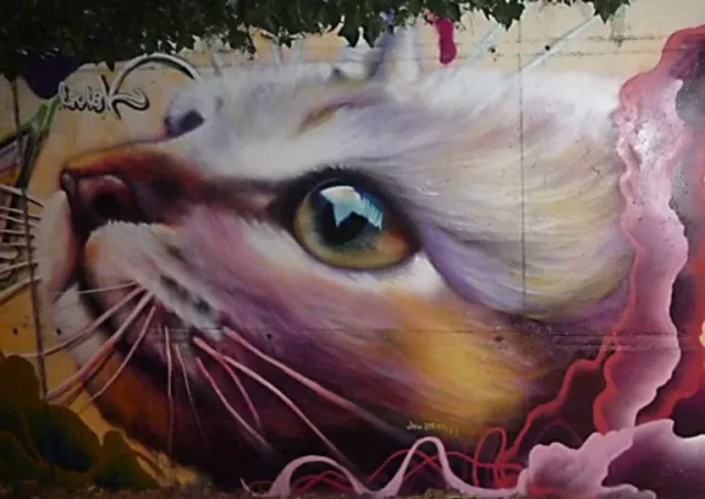 murales-gato