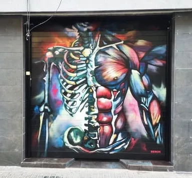 Mural en persiana fisioterapéutica de torso humano, mitad esqueleto y mitad músculos