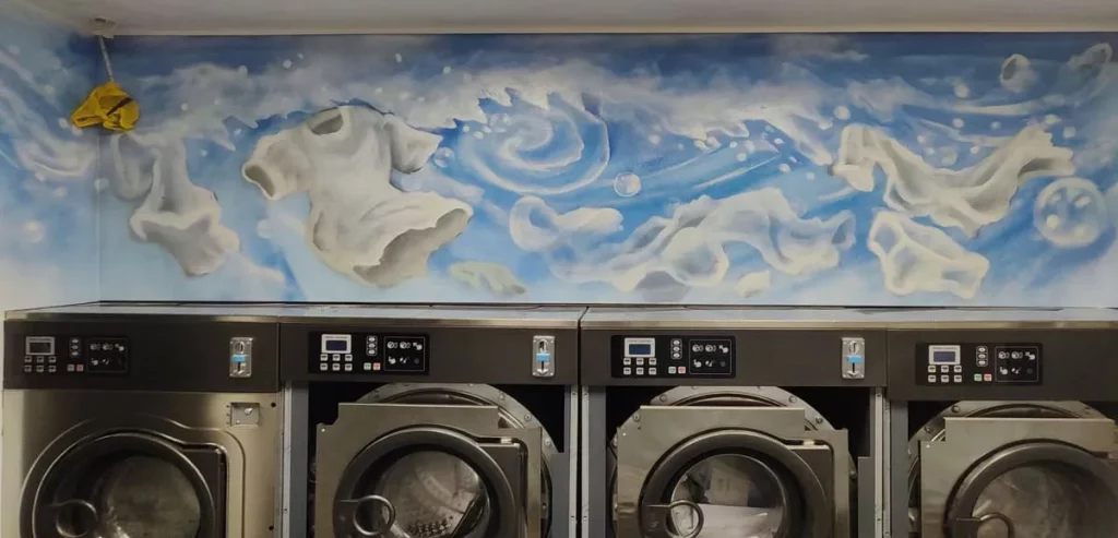 Mural decorativo en lavandería con pintura artística en pared