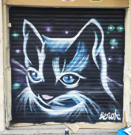 Graffiti persiana gato negro Barcelona arte urbano realista ojos azules