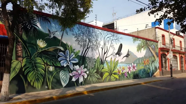Muralismo en Yucatán con flores tropicales, aves y vegetación selvática en pared exterior