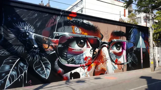 Graffiti mural en CDMX con rostro femenino de gran tamaño, gafas y detalles botánicos en estilo hiperrealista