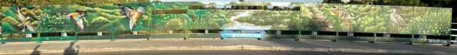 Mural naturalista del Foix Mural de arte urbano en el observatorio de aves del puente del Foix en Cubelles