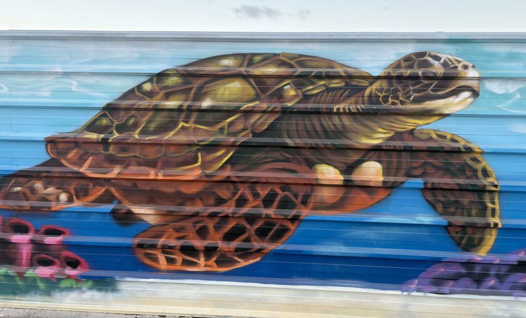 Tortuga marina pintada en mural de arte urbano en las playas de Las Salinas y Las Gavinas de Cubelles