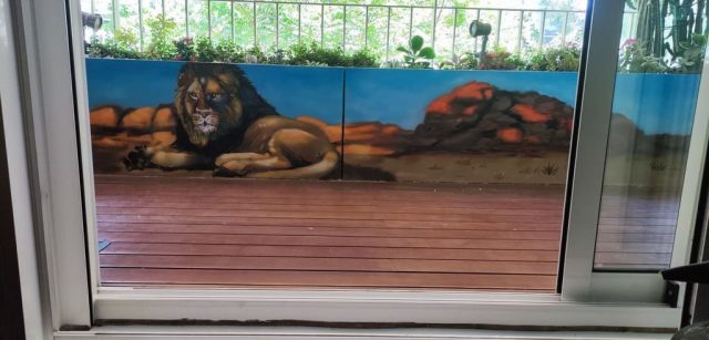 Mural de un león descansando en la sabana visto desde el interior de una terraza.